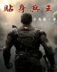 贴身兵王陆天龙完结