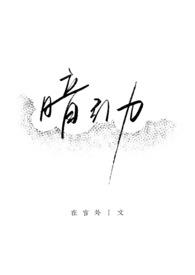 暗引力小说介绍